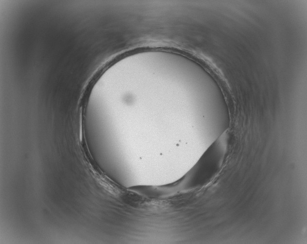 X0000069801175200606021431