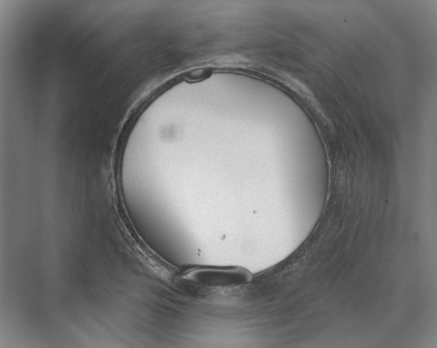 X0000069801176200606021431