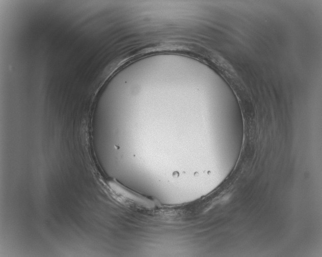 X0000069801177200606021431