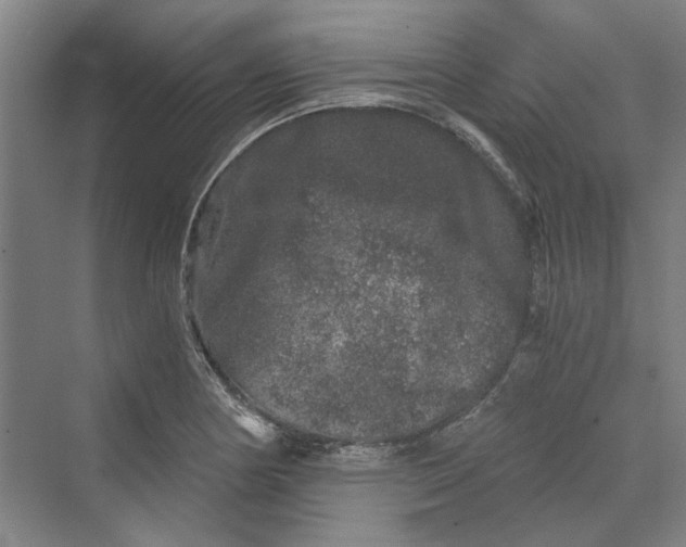 X0000069801178200606021431