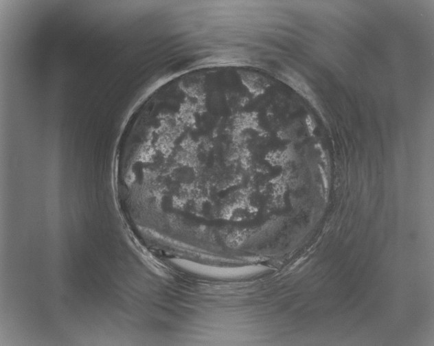 X0000069801179200606021431