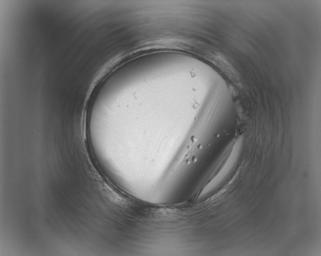 X0000069801180200606021431