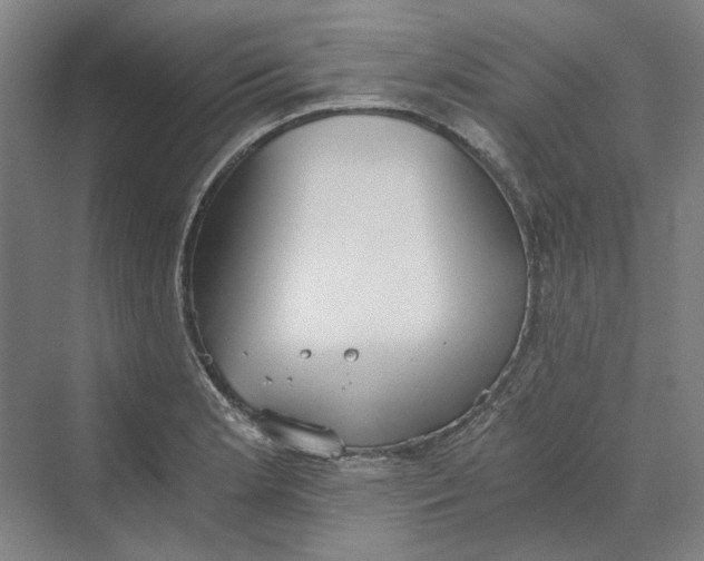 X0000069801181200606021431