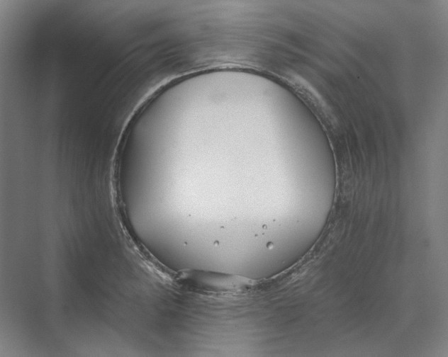 X0000069801182200606021431