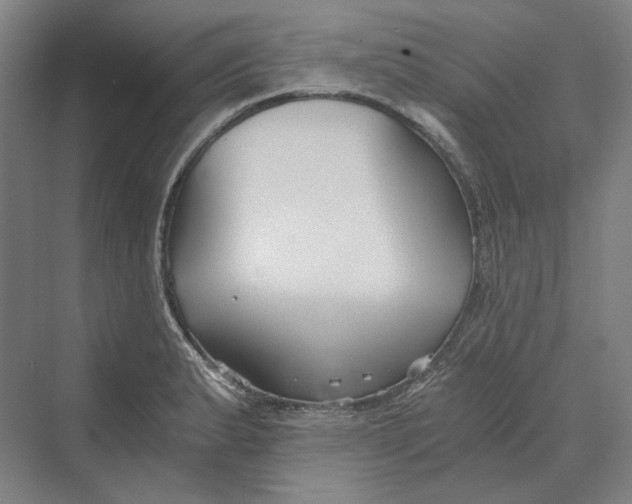 X0000069801183200606021431