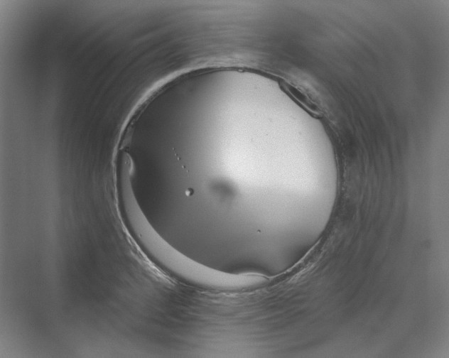 X0000069801184200606021431