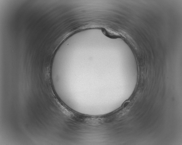 X0000069801185200606021431