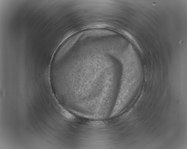 X0000069801186200606021431