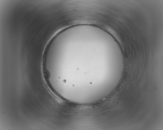 X0000069801187200606021431