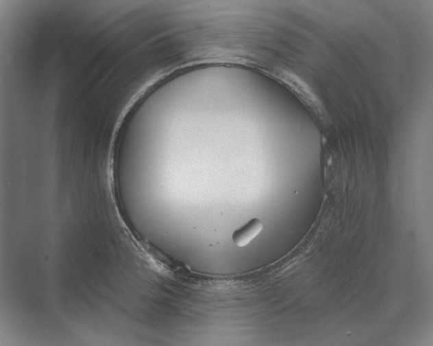 X0000069801188200606021431