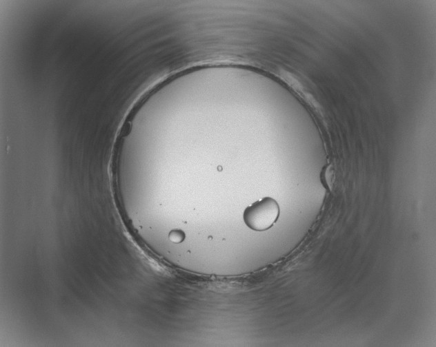 X0000069801189200606021431