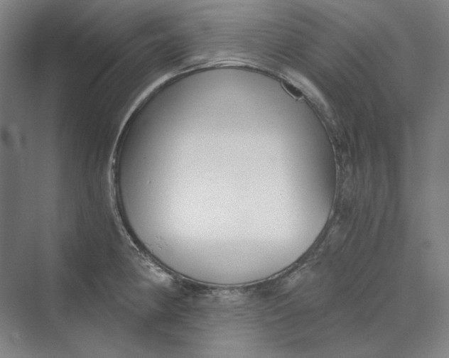 X0000069801190200606021431