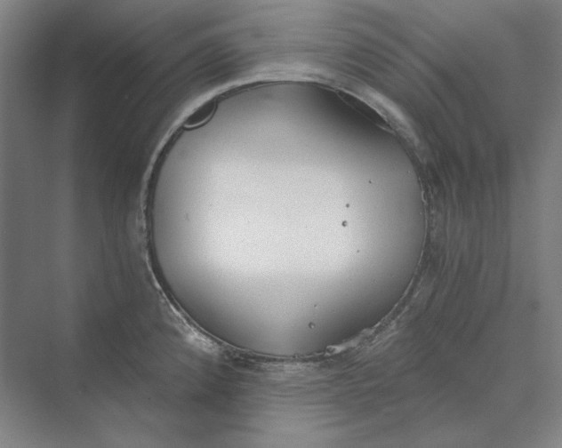 X0000069801192200606021431