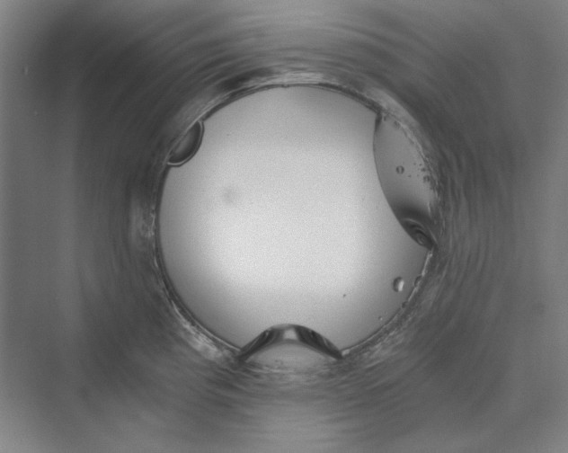 X0000069801193200606021431