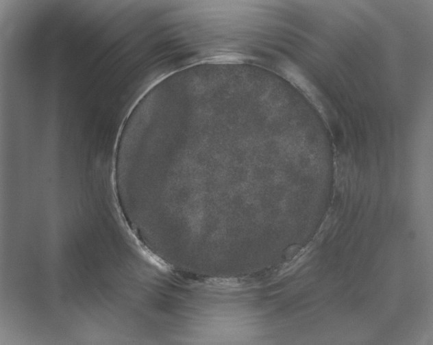 X0000069801194200606021431