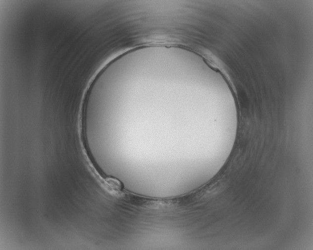 X0000069801195200606021431