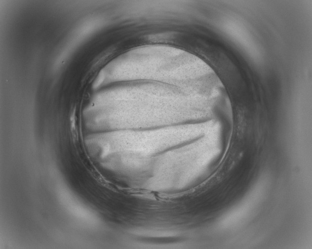 X0000069801198200606021431