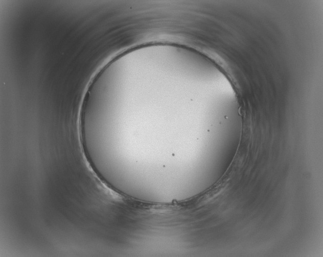 X0000069801199200606021431