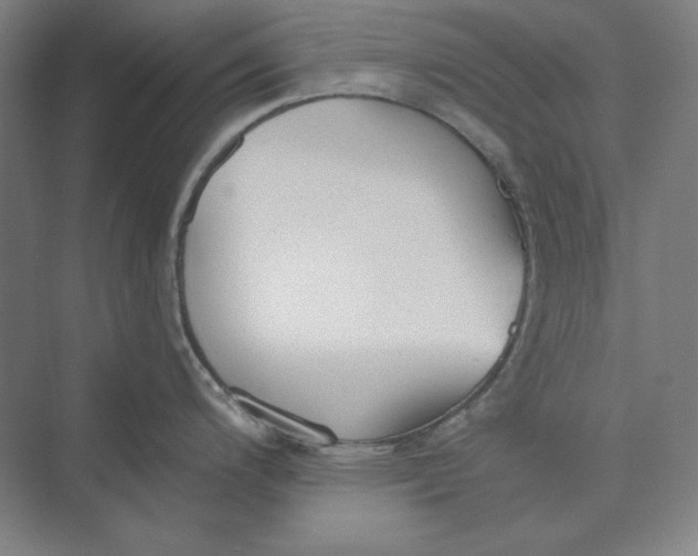 X0000069801200200606021431