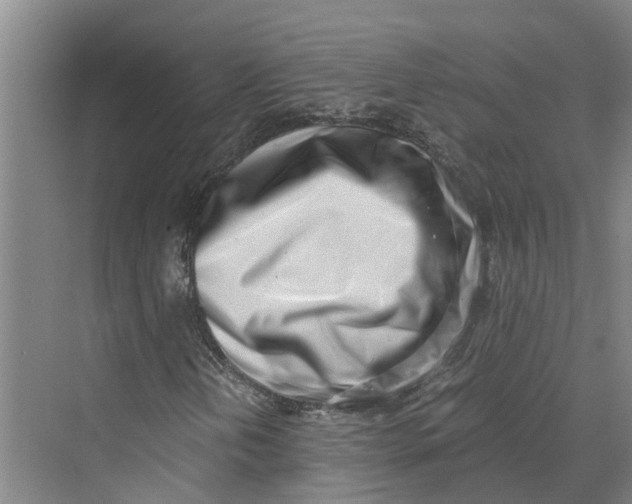 X0000069801202200606021430