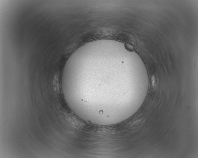 X0000069801203200606021430