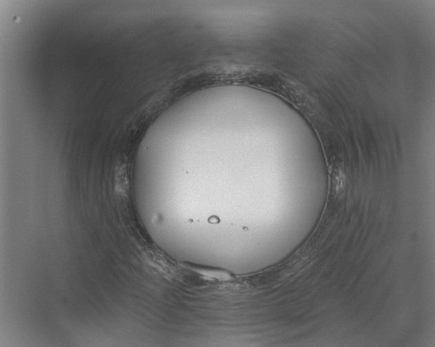 X0000069801204200606021430