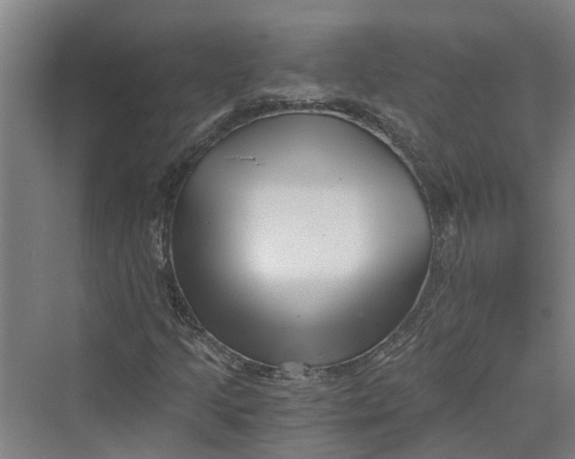 X0000069801205200606021430