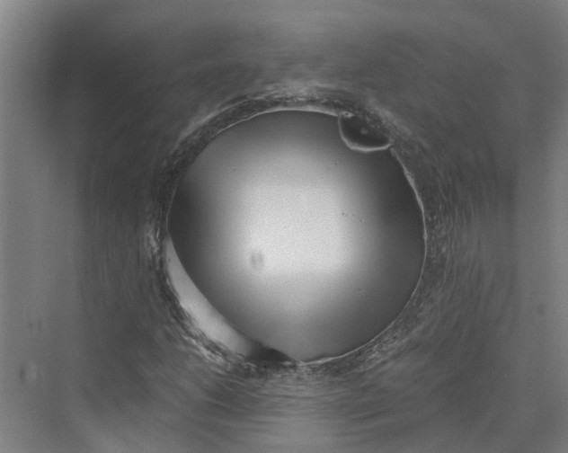 X0000069801206200606021430