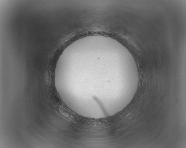 X0000069801207200606021430