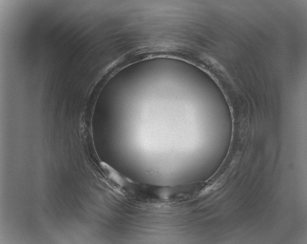 X0000069801210200606021430