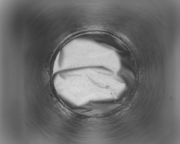 X0000069801212200606021430