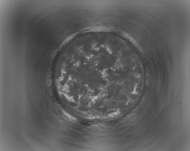 X0000069801213200606021430