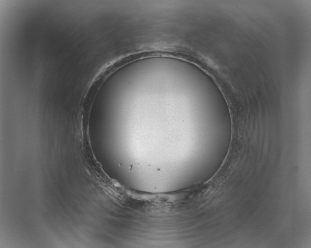 X0000069801214200606021430