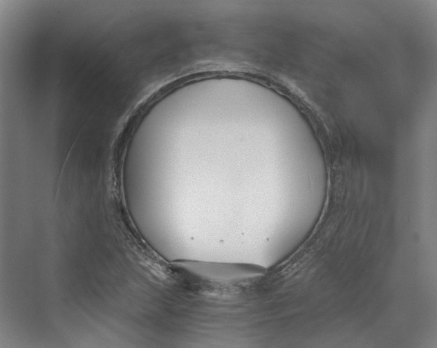 X0000069801215200606021430