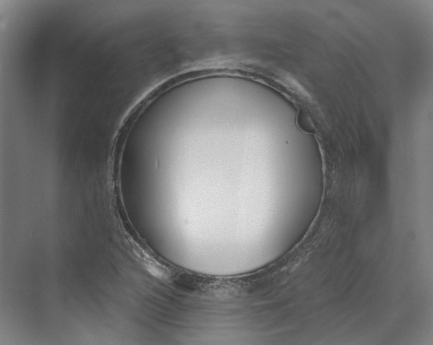 X0000069801216200606021430