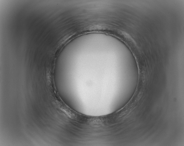 X0000069801217200606021430