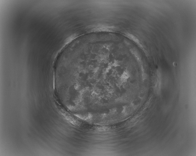 X0000069801219200606021430