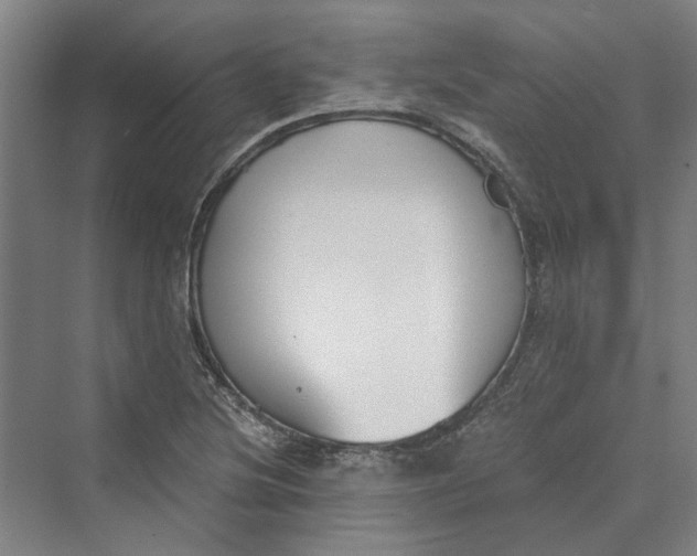 X0000069801220200606021430