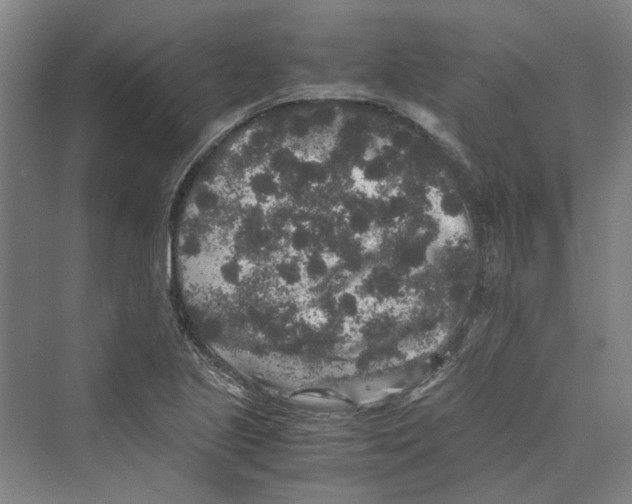 X0000069801221200606021430