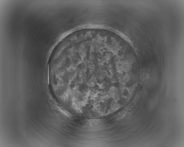 X0000069801223200606021430