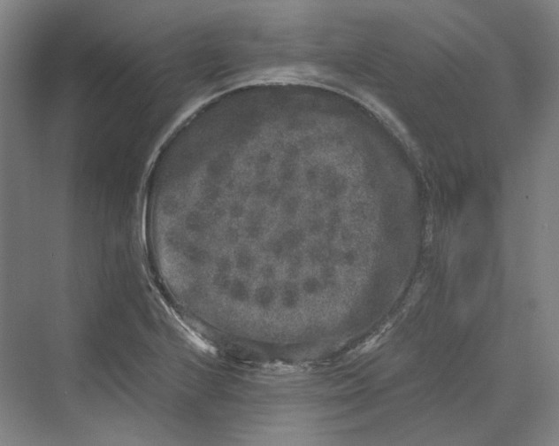 X0000069801224200606021431