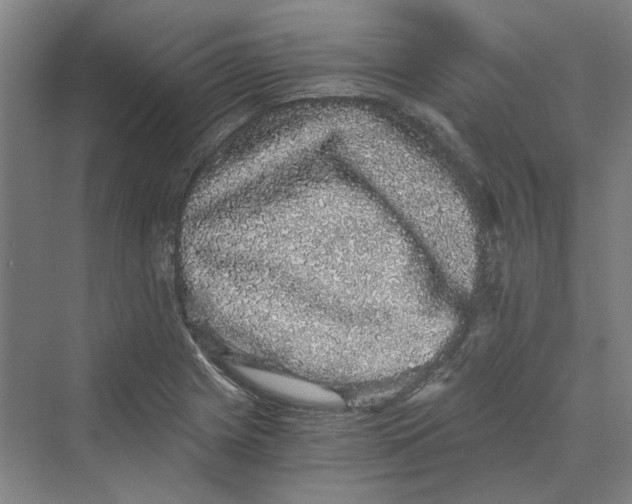 X0000069801225200606021431