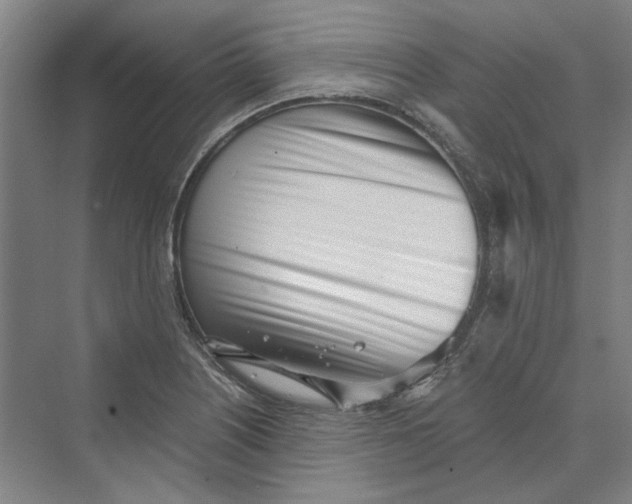 X0000069801226200606021431