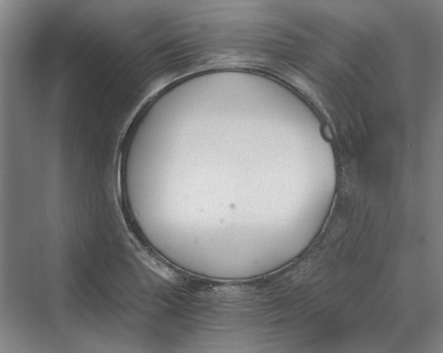 X0000069801227200606021431