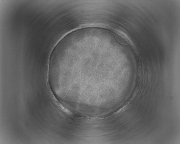 X0000069801228200606021431