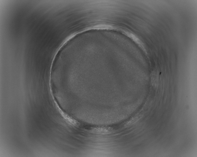 X0000069801229200606021431