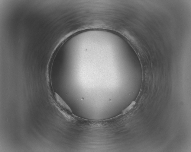 X0000069801230200606021431