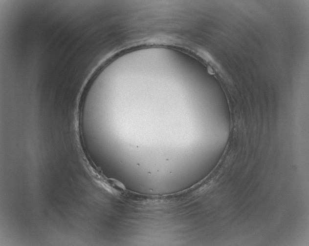 X0000069801232200606021431