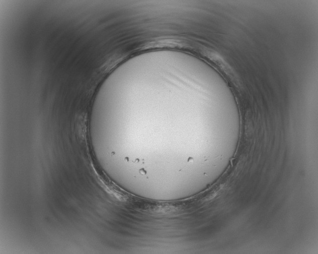 X0000069801233200606021431