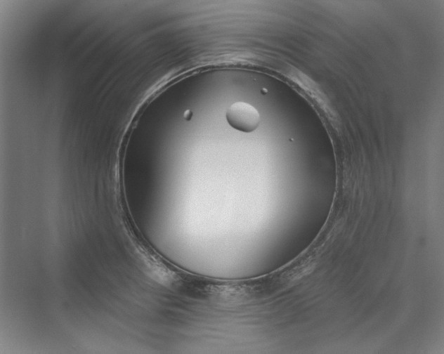 X0000069801234200606021431